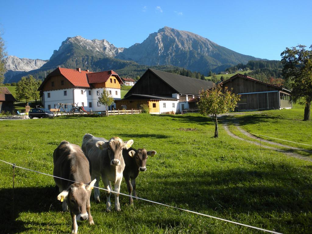 Bio-Urlaubshof Dansbach Villa Spital Am Pyhrn Eksteriør bilde