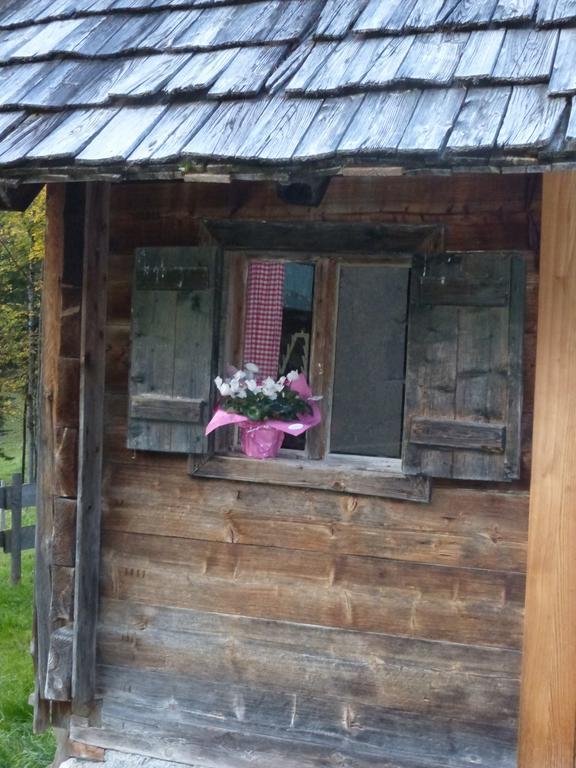 Bio-Urlaubshof Dansbach Villa Spital Am Pyhrn Eksteriør bilde